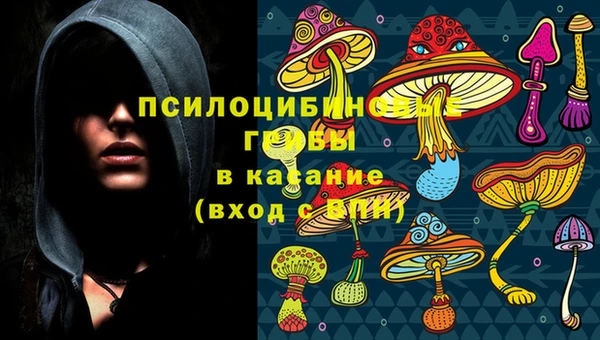Альфа ПВП Протвино