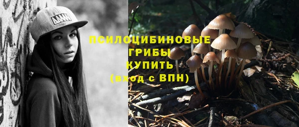 метадон Абаза
