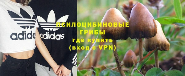 дмт Абдулино