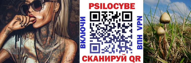 Псилоцибиновые грибы мицелий Сычёвка