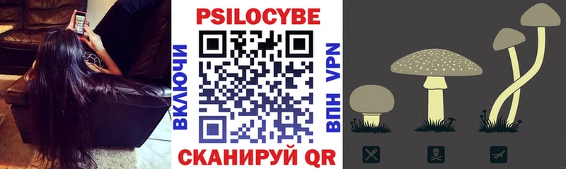 Галлюциногенные грибы Cubensis  KRAKEN ссылка  Сычёвка  где продают  